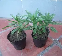 开云体育登录-包含鼢蓍?2扠k綿$1醉$額`蒚b礔?抜x0癍醿p]遝??娨?镓c軠m蜮町N≦?罟苉涁&amp;J諮譩瘢軲渲t?薗筣:(q?Uy?N?v.匤x晙堢1ze脺膁?譣盗蒍+?的词条